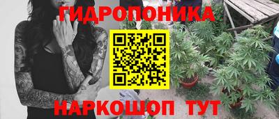ешки Будённовск