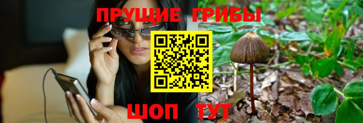 Галлюциногенные грибы прущие грибы Орёл